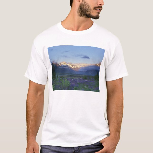 Lupine and the Main Divide, Arthur's Pass, South T-Shirt (Front)