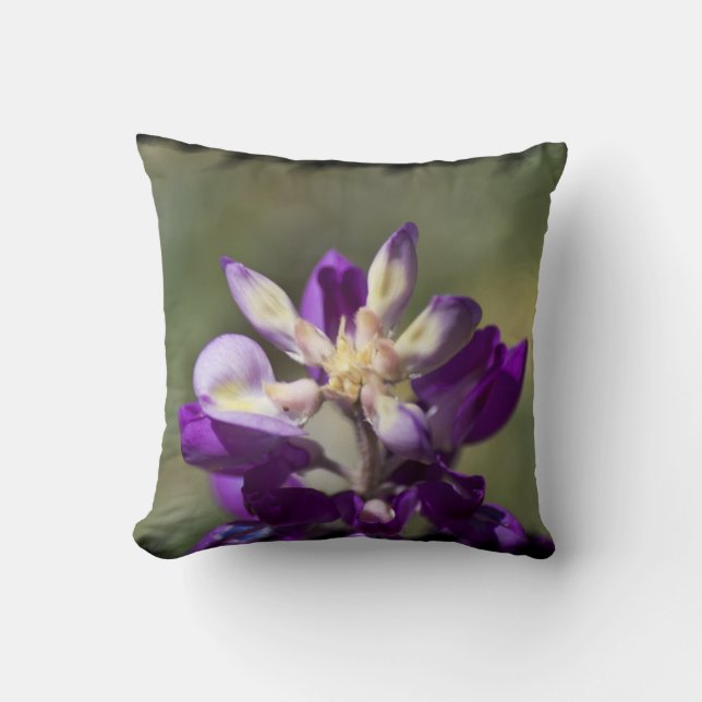 Lupine Black Edge Throw Pillow (Front)