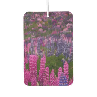 Lupine Flower Field Nature Aesthetic Print Air Freshener