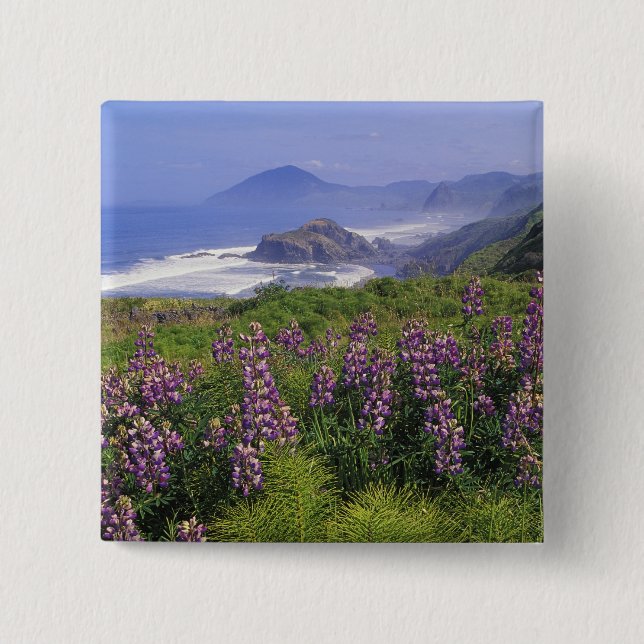 Lupine flowers and rugged coastline along 2 inch square button (Front)