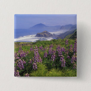 Lupine flowers and rugged coastline along 2 inch square button
