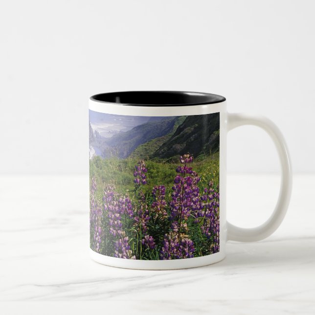 Lupine flowers and rugged coastline along Two-Tone coffee mug (Right)