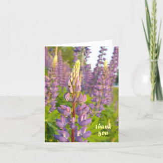 Lupine merci note