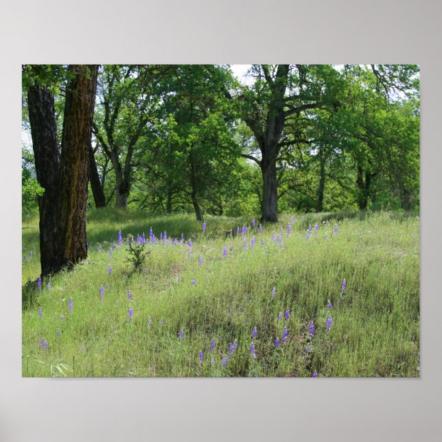 Lupine, Oak Tree Landscape Poster (Front)