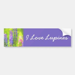 Lupine Painting - Original Flower Art Bumper Sticker