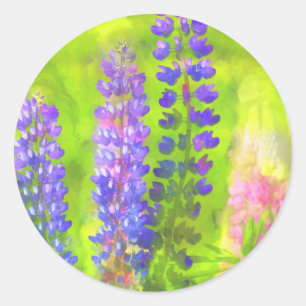 Lupine Painting - Original Flower Art Classic Round Sticker