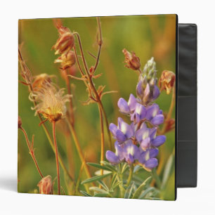 Lupine & Prairie Smoke wildflowers in Montana Binder