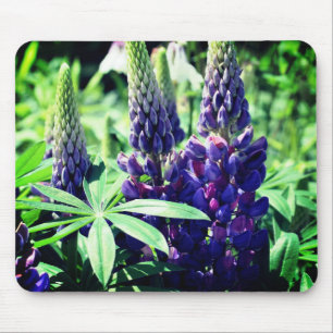 Lupine Trio Flower  Mouse Pad