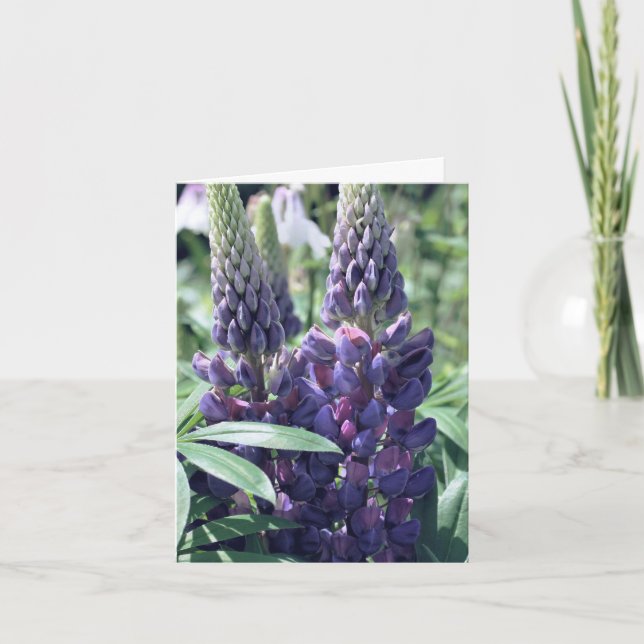 Lupine Trio Flower Photography  Note Card (Front)