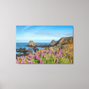 Lupine Wildflowers Cover The Hills Canvas Print