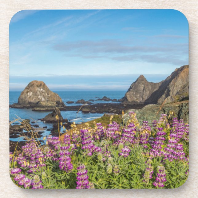 Lupine Wildflowers Cover The Hills Coaster (Front)
