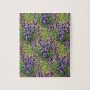 Lupines Galore... Jigsaw Puzzle
