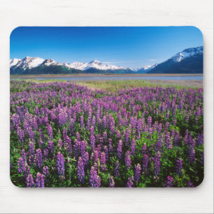 Lupines in Bloom Kenai Mountains, Alaska Mouse Pad