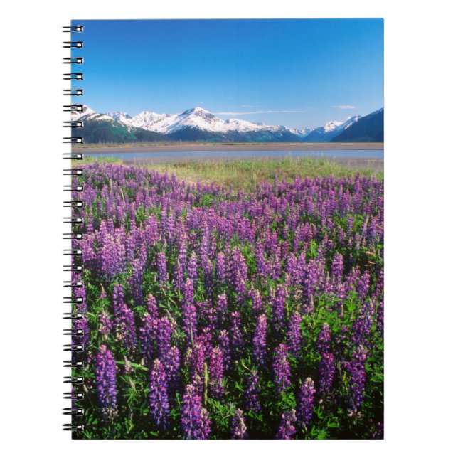 Lupines in Bloom | Kenai Mountains, Alaska Notebook (Front)