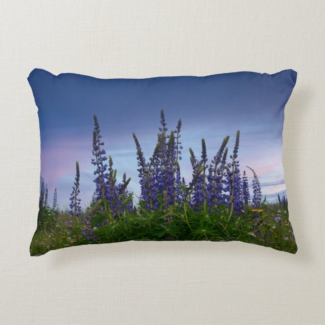 Lupins    accent pillow (Front)