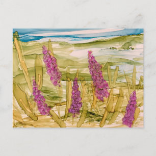 Lupins in the wild postcard