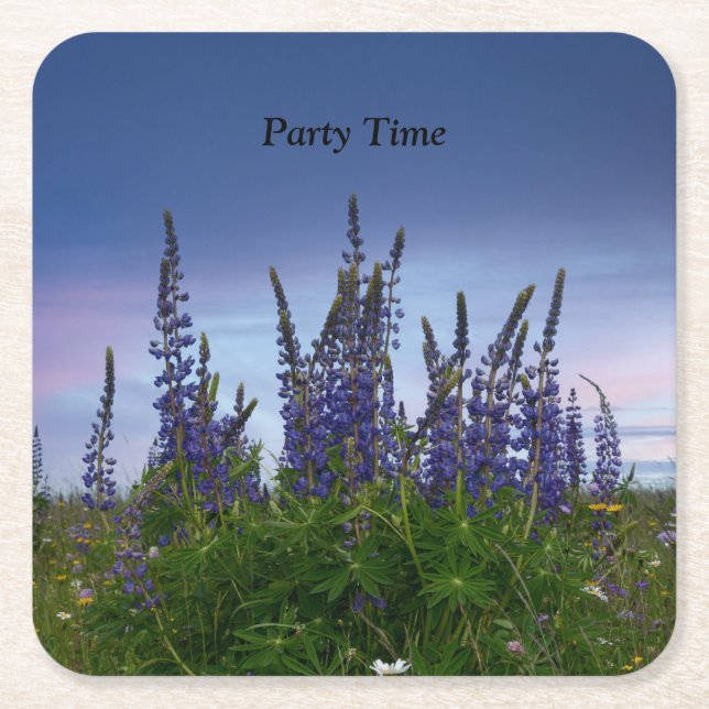 Lupins    square paper coaster (Front)