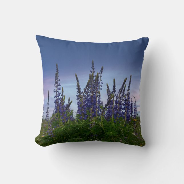 Lupins     throw pillow (Front)