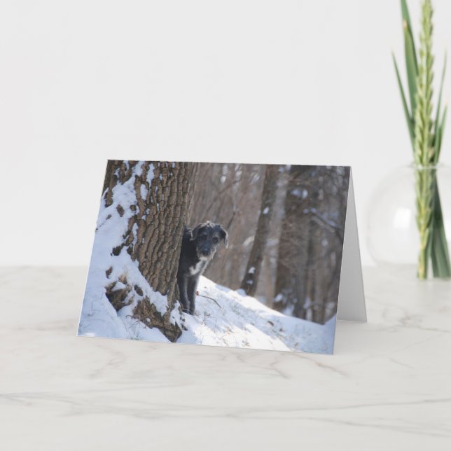 Lurcher derrière un arbre - cartes de voeux (Devant)