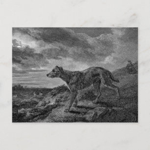 Lurcher Dogs Vintage Drawing Postcard
