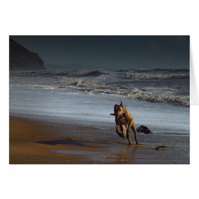 Lurcher Greyhound sur la plage (Devant horizontal)