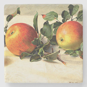 Luscious Apples Square Stone Coaster