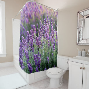 Luscious Lavender 