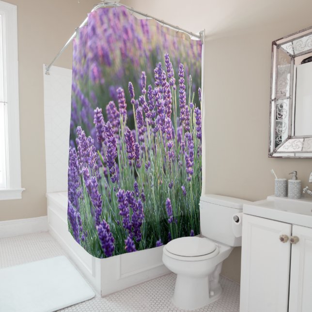 Luscious Lavender  (In Situ)