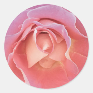 Luscious Pink Rose Classic Round Sticker