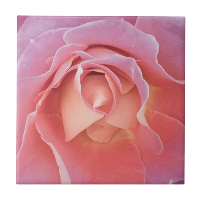 Luscious Pink Rose Tile (Front)