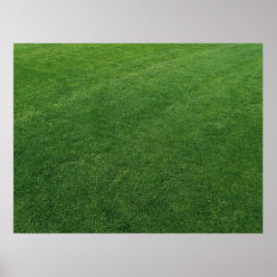 Luscious Turf Print