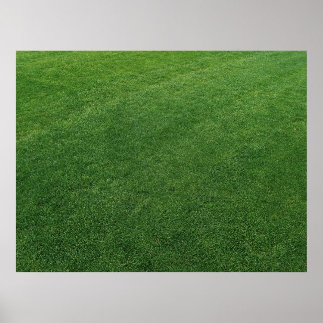 Luscious Turf Print (Front)