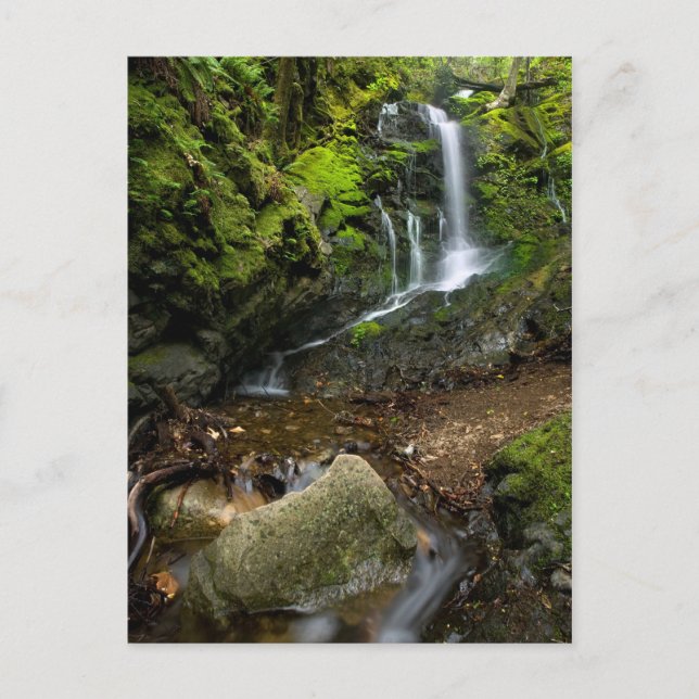 Lush California Watervall Postcard (Front)