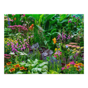 Lush English Cottage Garden Summer Flowers Photo Print