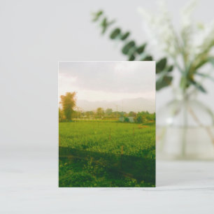 Lush fields of Pai - Northern Thailand RSVP Card