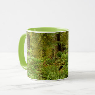 Lush Forest & Ferns   Ecola State Park, Oregon Mug