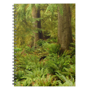 Lush Forest & Ferns Ecola State Park, Oregon Notebook