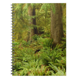 Lush Forest & Ferns   Ecola State Park, Oregon Notebook