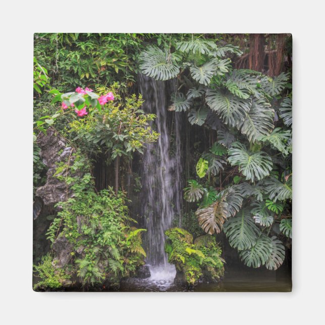 Lush Garden Waterfall, China Magnet (Front)
