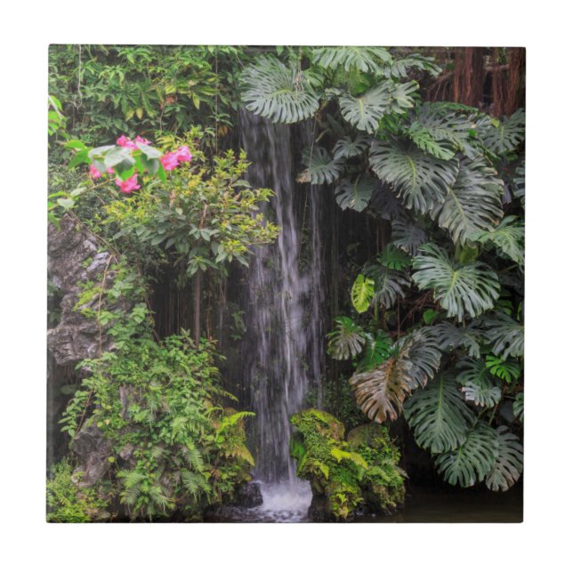 Lush Garden Waterfall, China Tile (Front)
