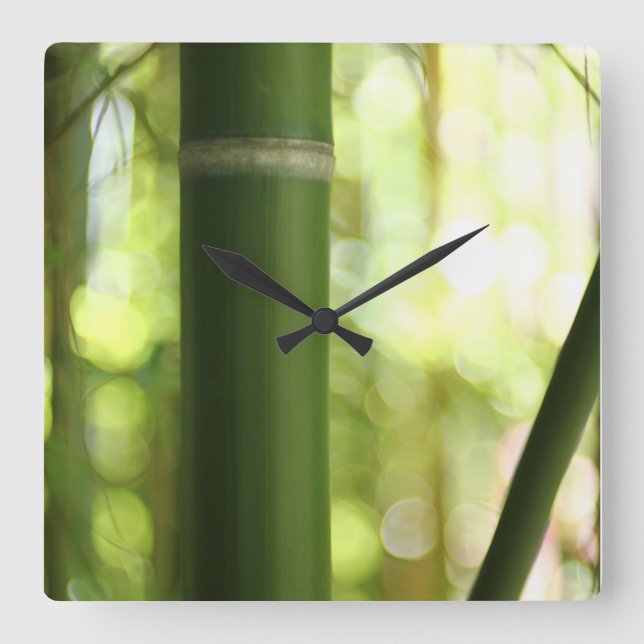 Lush Green Bamboo Forest Square Wall Clock (Front)