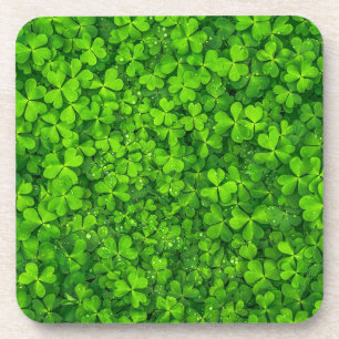 Lush Green Clovers with Water Drops Coaster