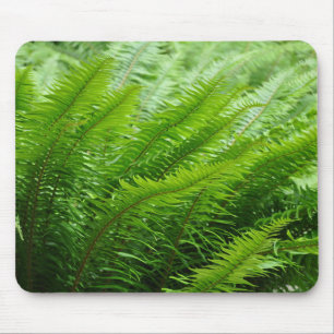 Lush green ferns mouse pad
