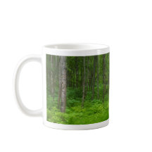 Lush Green Forest Landscape Scene