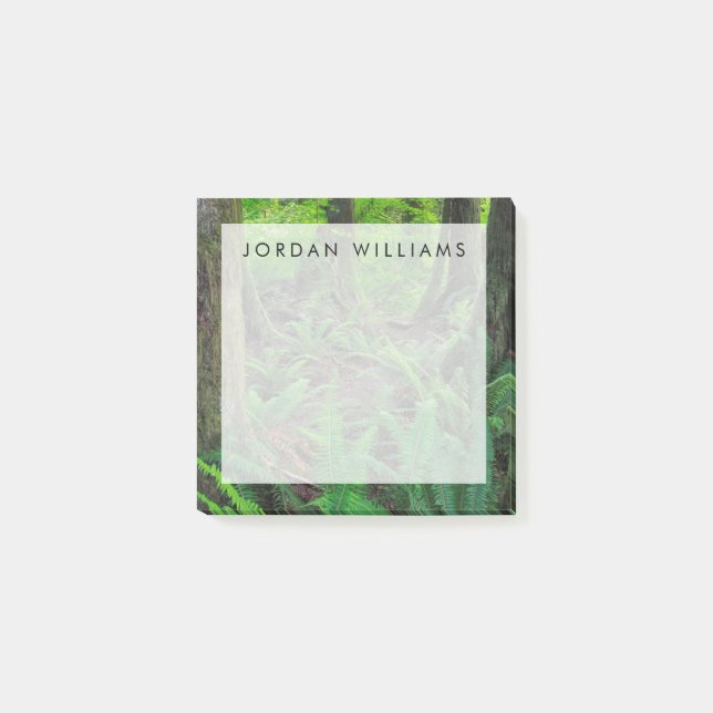 Lush Green Forest Scenic Post-it Notes (Front)