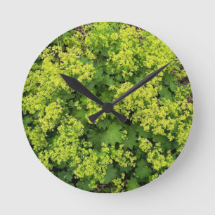 Lush Green Ivy Botanical Nature Wall Clock