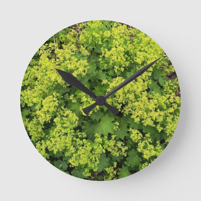 Lush Green Ivy Botanical Nature Wall Clock (Front)
