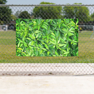 Lush Green Leaves Pattern – Nature Botanical  Banner