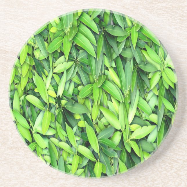 Lush Green Leaves Pattern – Nature Botanical  Coaster (Front)