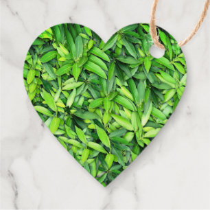 Lush Green Leaves Pattern – Nature Botanical Favour Tags